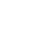 Turbine Francis